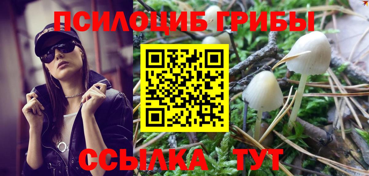 Псилоцибиновые грибы Psilocybine cubensis  Галлюциногенные грибы ЛСД  купить наркоту  Вход с VPN  Апрелевка 