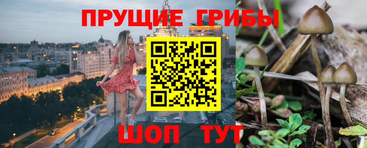 Псилоцибиновые грибы ЛСД Апрелевка